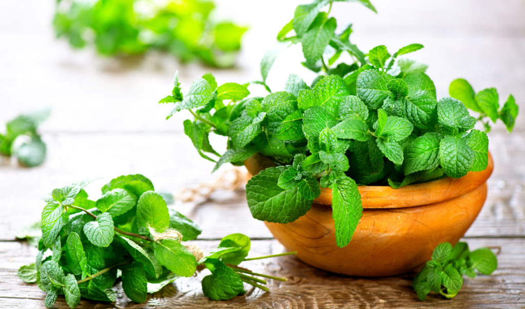 7 loại cây xanh bạn nên trồng trong nhà tắm